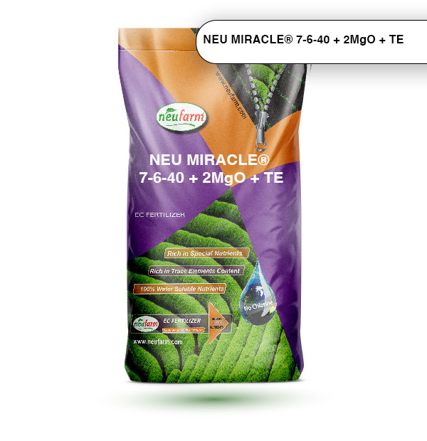 NEU MIRACLE® 7-6-40 + 2MgO + TE_